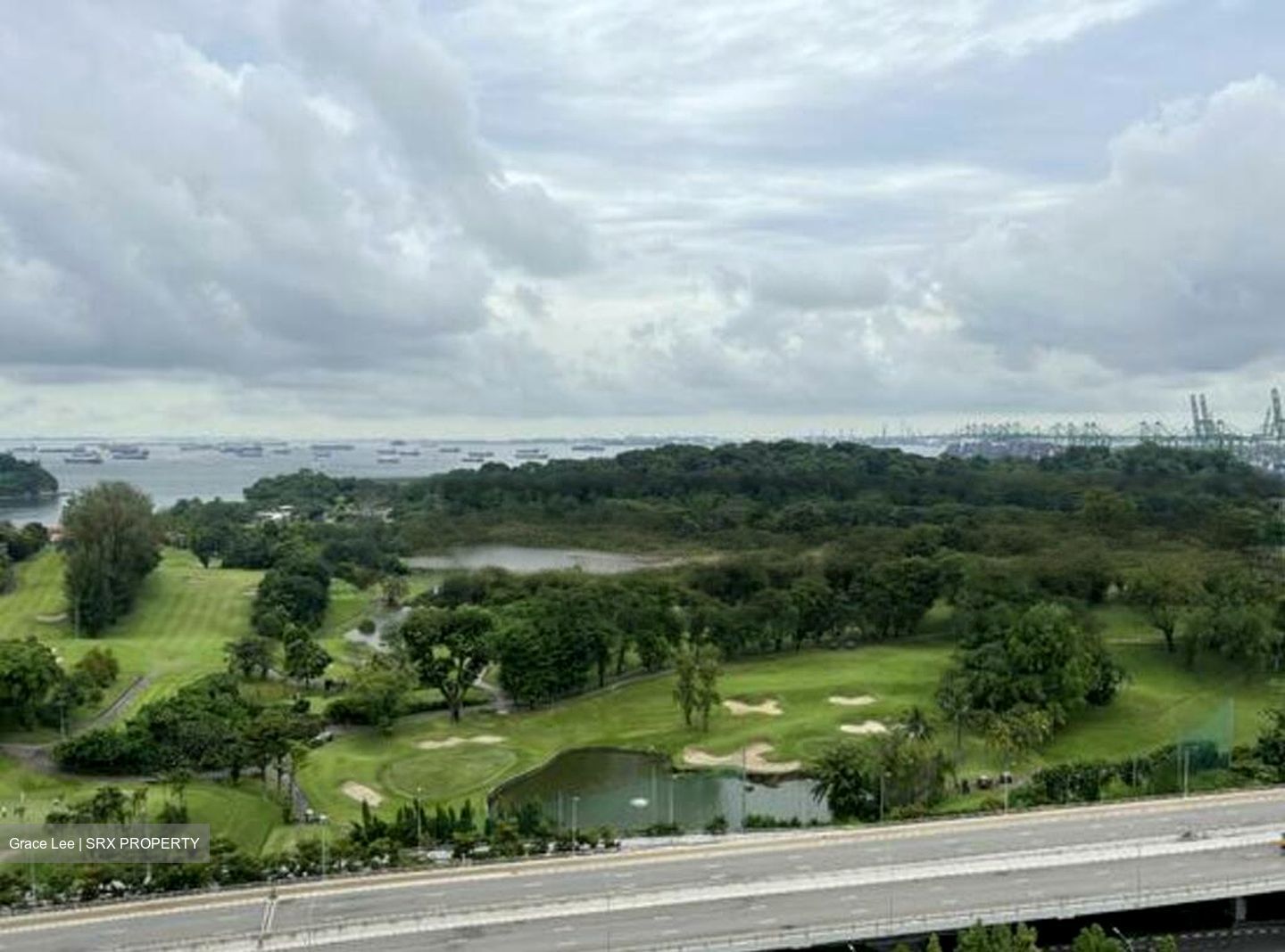 Skyline Residences (D4), Condominium #446057201
